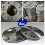 Titanium Flange